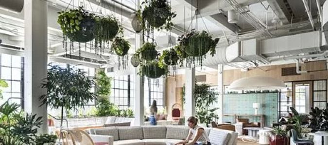 Historic Building Office Rentals: The Charm of Classic Spaces for Modern Businesses