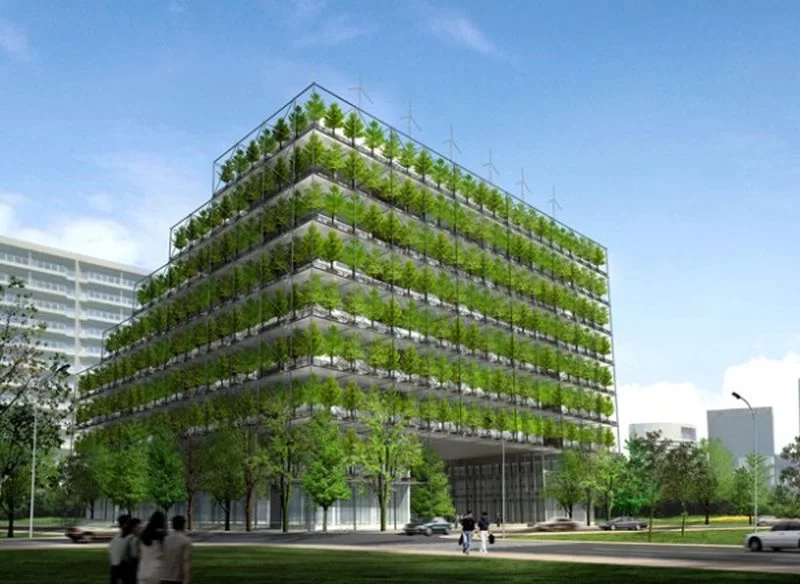 Eco-Friendly Office Buildings in NYC: The Future of Sustainable Workspaces