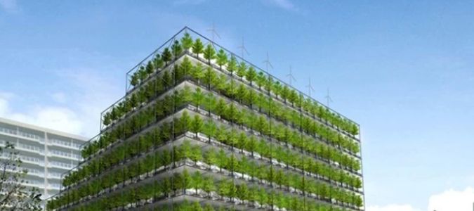 Eco-Friendly Office Buildings in NYC: The Future of Sustainable Workspaces