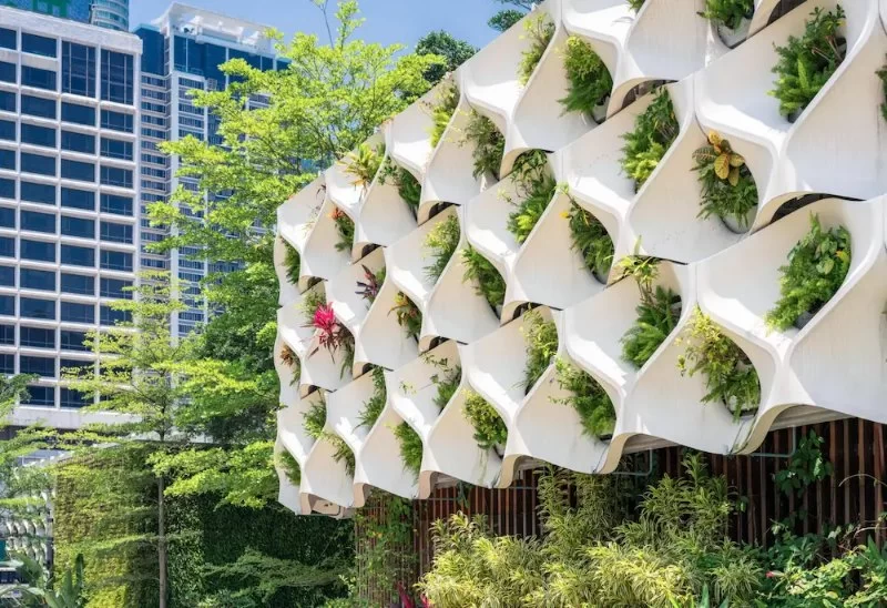 How Architects Are Responding to the Growing Demand for Sustainable Design
