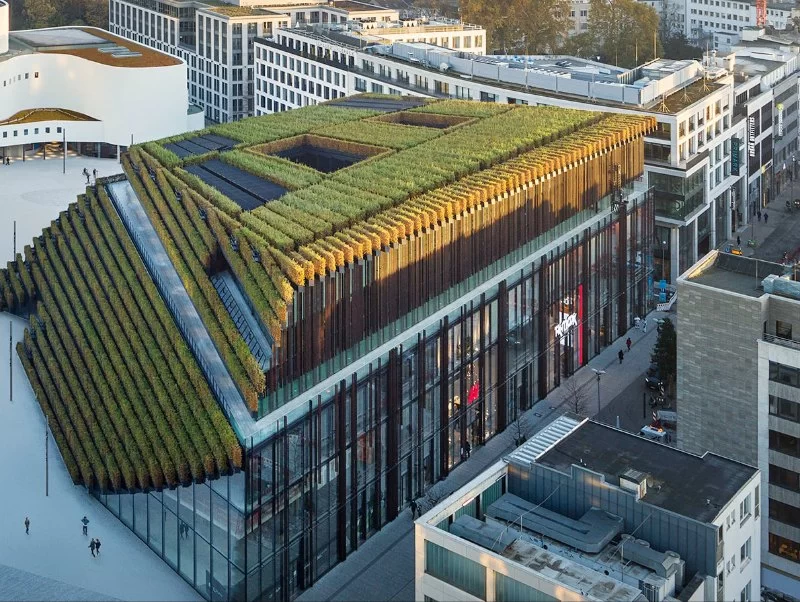 How Architects Are Using Green Building Certifications to Drive Sustainability