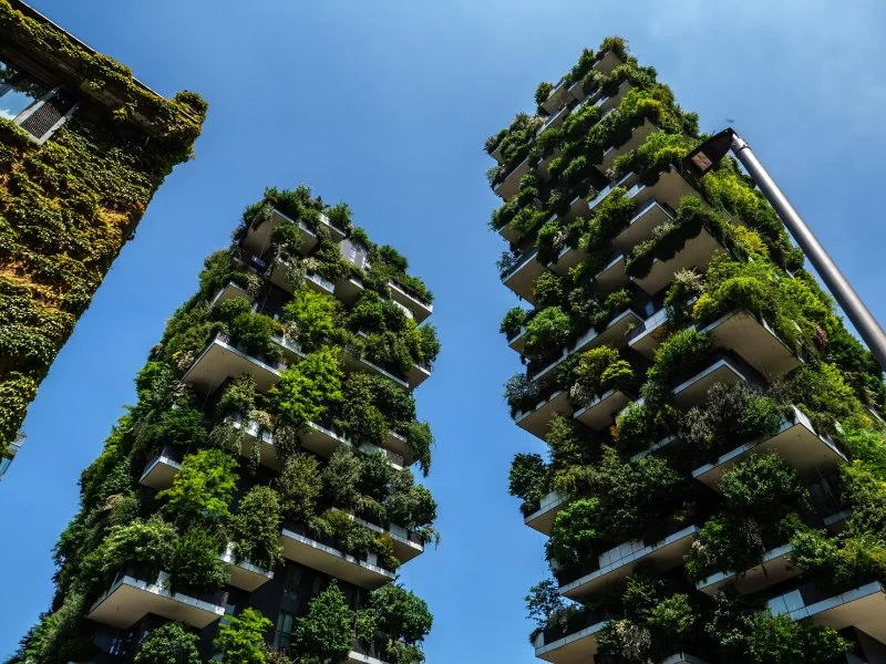 The Growing Trend of Green Architecture and How It Benefits Cities