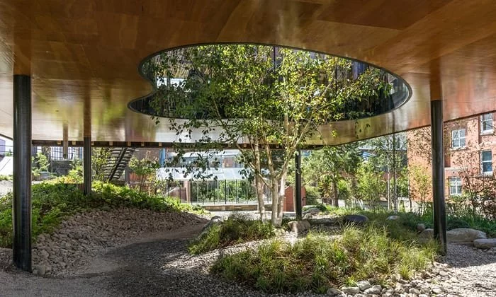 The Role of Biophilic Design in Enhancing Human Connection to Nature