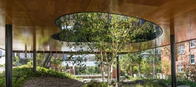 The Role of Biophilic Design in Enhancing Human Connection to Nature