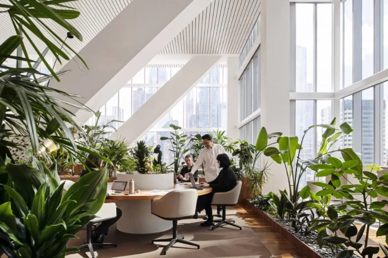 The Role of Architects in Designing Sustainable Office Spaces