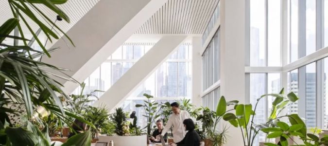 The Role of Architects in Designing Sustainable Office Spaces