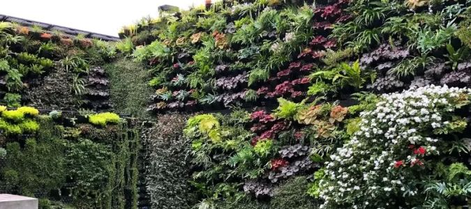 How to Effectively Incorporate Vertical Gardens into Architectural Designs