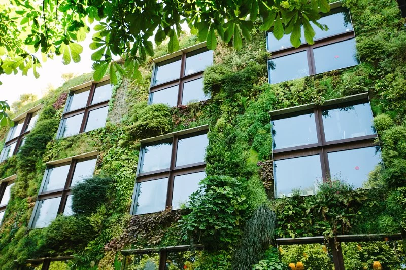 The Impact of Green Building Certifications on Architecture and Design