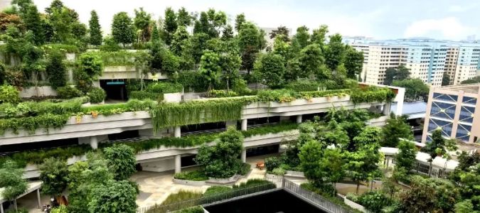 The Role of Architecture in Creating Climate-Resilient Infrastructure