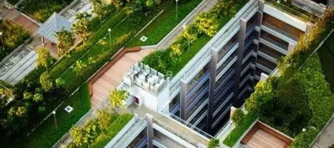 The Importance of Urban Green Spaces in Modern Architecture