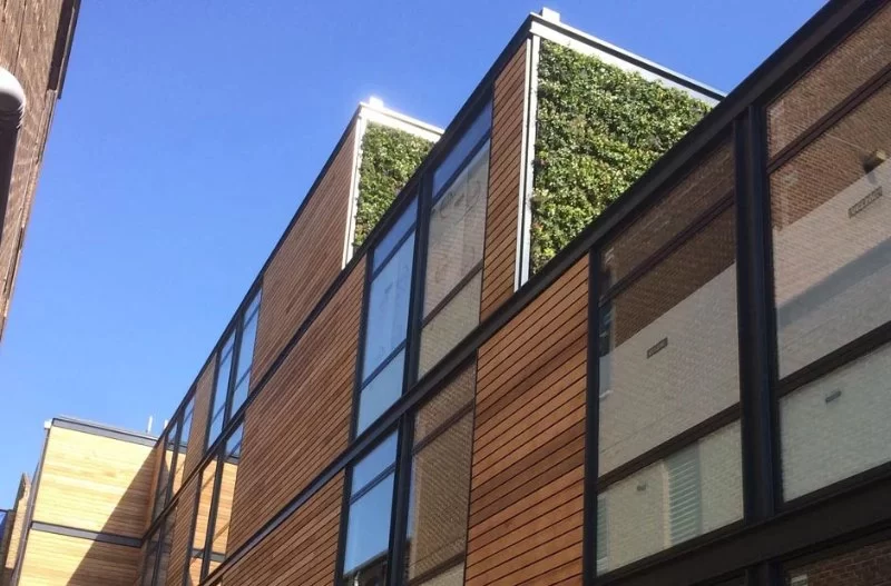 Why Sustainable Building Materials Are Key to the Future of Architecture