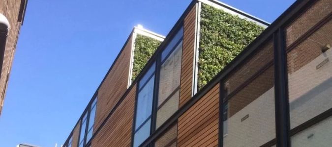 Why Sustainable Building Materials Are Key to the Future of Architecture