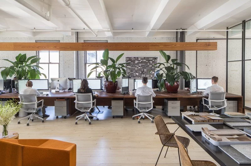 How Architects Can Help Design Your Dream Office Space