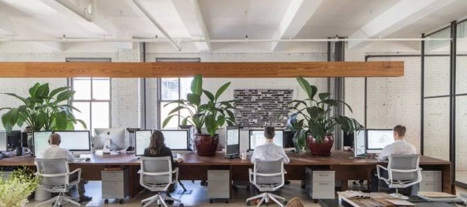 How Architects Can Help Design Your Dream Office Space
