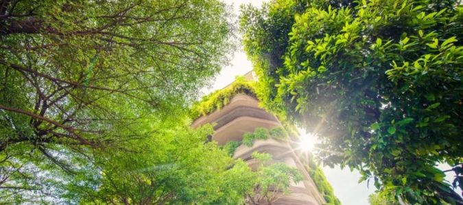 Why Architects Are Embracing Sustainable Design Practices: Trends and Benefits for 2025